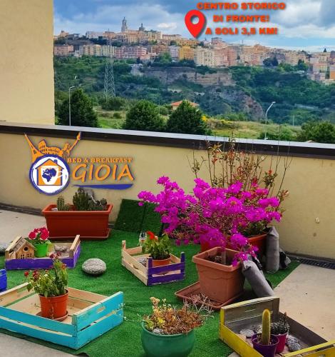 B&B GIOIA – Photos 4