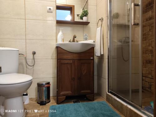 ein Bad mit einem Waschbecken, einem WC und einer Dusche in der Unterkunft Buon Studio-romantic little cottage near Small Square in Sibiu