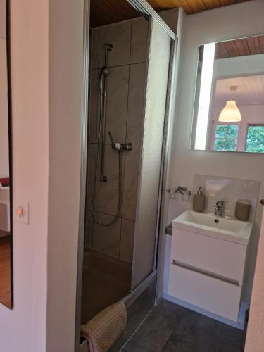 a bathroom with a shower and a sink at Hotel Chalet Bellerive in Spiez