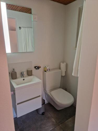 a bathroom with a toilet and a sink and a mirror at Hotel Chalet Bellerive in Spiez