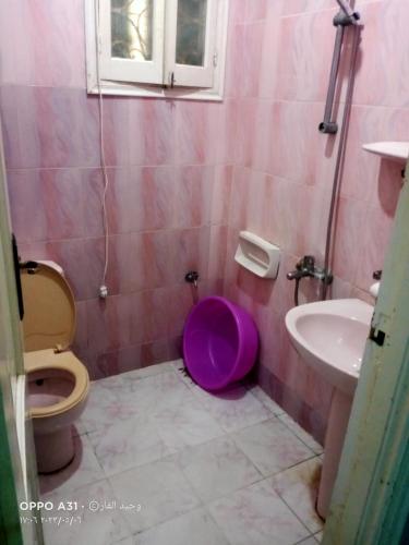 La salle de bains est pourvue de toilettes violettes et d'un lavabo. dans l'établissement رأس البر, à Ras El Bar