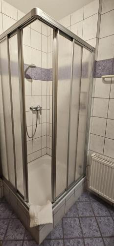 a shower with a glass door in a bathroom at Hotel Landhaus Silbertanne in Rotenburg an der Fulda