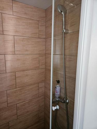 a shower in a bathroom with a wooden wall at Villa Renata in Pirovac