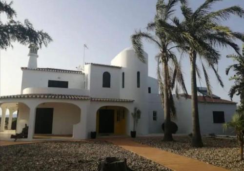 a white house with palm trees in front of it at Vivenda Marias in Lagoa