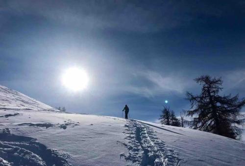 a person standing on top of a snow covered hill at Fiesch-Lax Minnig Moritz in Lax