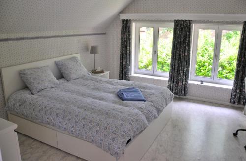 1 dormitorio con 1 cama y 2 ventanas en Très belle Villa 4 façades dans quartier vert et arboré - 5 kms de Namur, en Namur