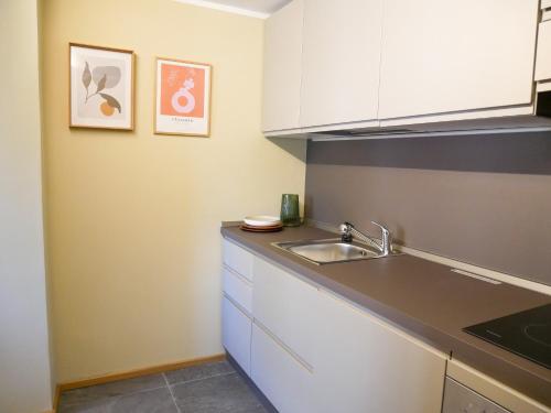 cocina con fregadero y encimera en Nuovo Appartamento moderno a Cogne, en Cogne