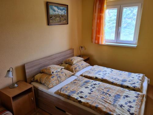 ザラカロシュにあるBalázs Apartmanのベッドルーム1室(ベッド2台、窓付)
