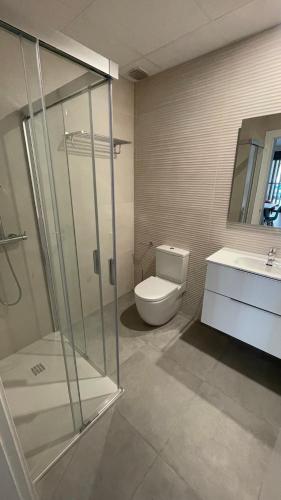 a bathroom with a shower and a toilet and a sink at Txoko Loft Bardenas in Tudela