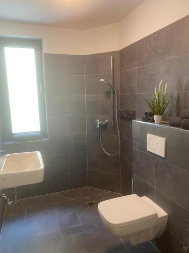 a bathroom with a shower and a toilet and a sink at Art-Appartement in Bielefeld
