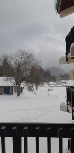 ein schneebedecktes Feld mit einem Park in der Ferne in der Unterkunft Le 6 du Pitalugue in Ax-les-Thermes