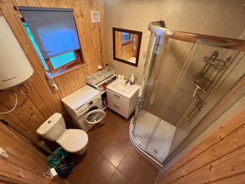 - une vue de tête sur la salle de bains pourvue d'une douche et de toilettes dans l'établissement Domek całoroczny HAWAJE nad jeziorem Kazub, à Cieciorka