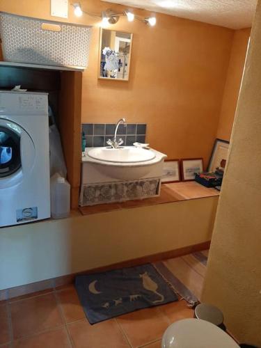 une salle de bain avec un lavabo et une machine à laver dans l'établissement T.Belle Vue Panoramique au coeur du Luberon 40m2 + pergola . jardin. P, à Apt
