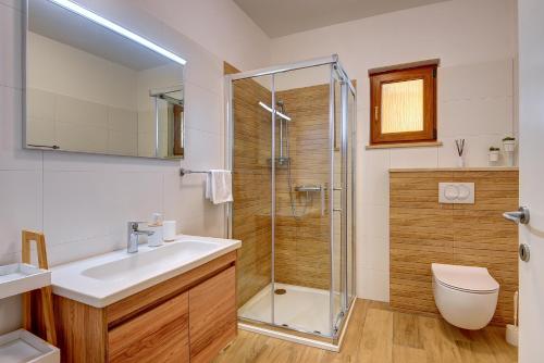 a bathroom with a shower and a sink and a toilet at Apartments Buic in Vinkuran