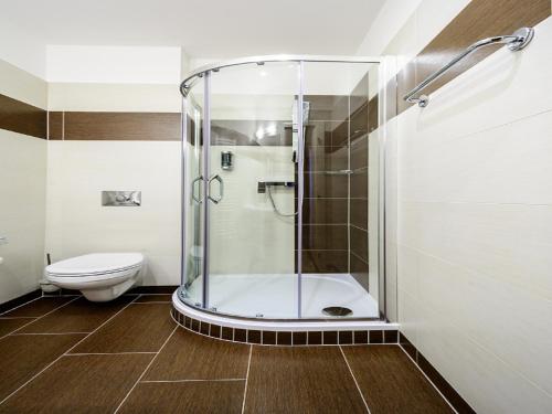 uma casa de banho com um chuveiro e um WC. em Alexander em Stríbro