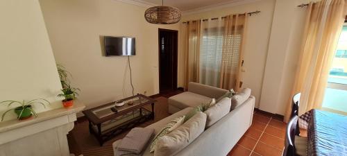 a living room with a couch and a tv at Lovely Modern Duplex 3 Bedroom Flat in Quiet Area in Tavarede