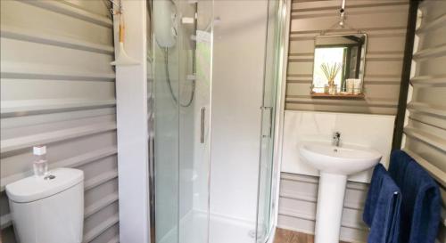 a bathroom with a shower and a toilet and a sink at Shepherds Hut by Stepney Stays in Scarborough