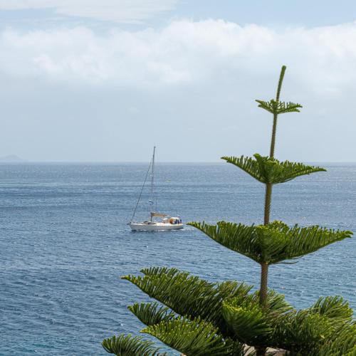 a boat in the ocean with a palm tree at Etesians Suites & Villas in Super Paradise Beach