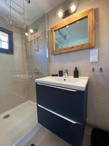 a bathroom with a sink and a shower and a mirror at Le petit prince in Balaruc-les-Bains