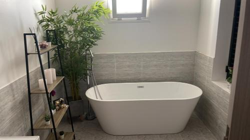 a white bath tub in a bathroom with a plant at The One chalet Oman in Bū ‘Abālī