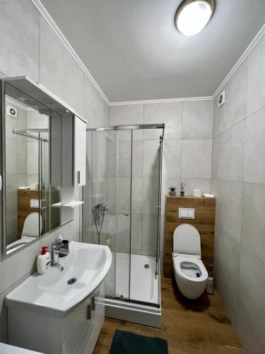 a bathroom with a toilet and a sink and a shower at Apartman IRIS 3 in Banja Luka