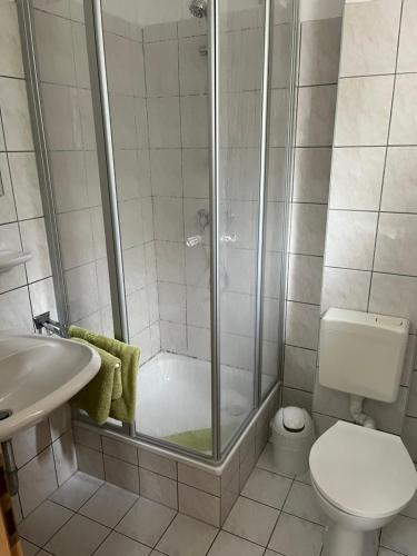 a bathroom with a shower and a toilet and a sink at Gästezimmer-Zum Krug im grünen Kranze in Pätower Steegen