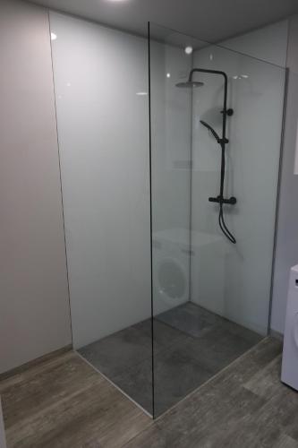 a shower with a glass door in a bathroom at Ferienwohnung GGM in Judenburg