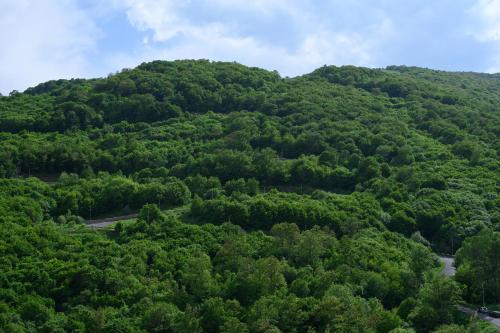  Aurora Resort Tsaghkadzor -  Room  picture :   Tea/Coffee maker    Shower    Bath                           