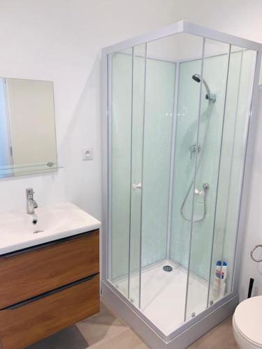 une salle de bain avec une douche, des toilettes et un lavabo dans l'établissement Studio à 6 min à pied du centre, à Albi