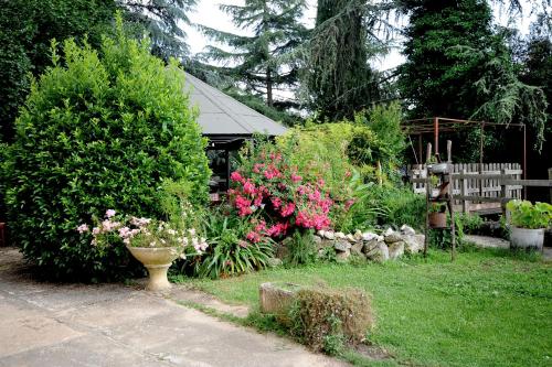 a garden with flowers and plants in a yard at COUNTRY HOUSE in Sezze
