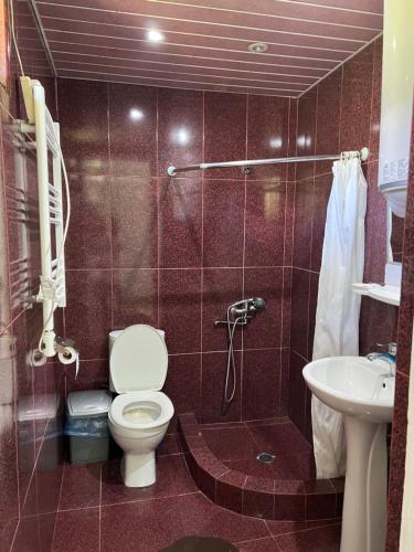 La salle de bains est pourvue de toilettes et d'un lavabo. dans l'établissement Apartment in Mestia, à Mestia