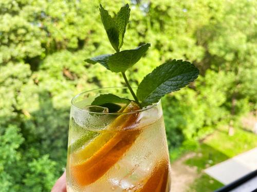 a person holding a glass with a plant in it at Aqua Apartman in Zalakaros
