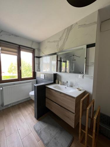 La salle de bains est pourvue d'un lavabo, de toilettes et d'un miroir. dans l'établissement Le Cerisier - Charmante maison dans le vignoble, à Sigolsheim