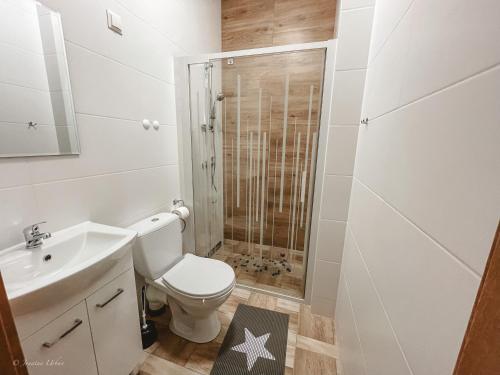 a bathroom with a toilet and a shower at Apartamenty Grey in Okuninka