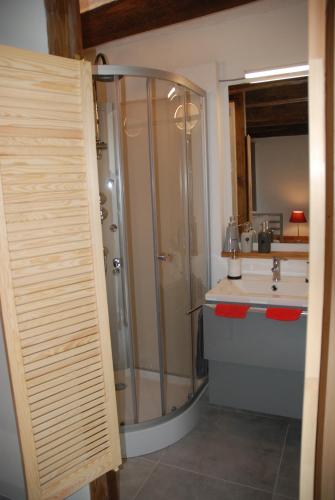 a bathroom with a shower and a sink at B&B Le Courtil in Dohan