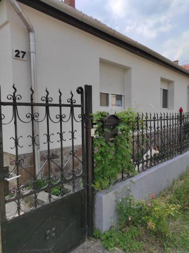 ogrodzenie z czarną bramą z białym budynkiem w obiekcie Szomolyai Vadvirág vendégház w mieście Szomolya