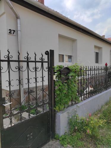 Szomolyai Vadvirág vendégház 3411 Szomolya, 27 Szent István út kép - 3