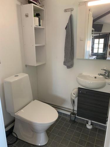 a bathroom with a white toilet and a sink at Lakeland BoxCabin in Viitasaari