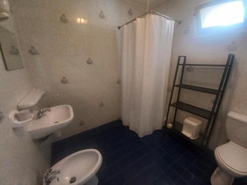 La salle de bains est pourvue d'un lavabo, de toilettes et d'une douche. dans l'établissement Maison avec jardin, à Adé