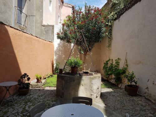 Κήπος έξω από το Appartement T2 avec jardin privatif 3 étoiles