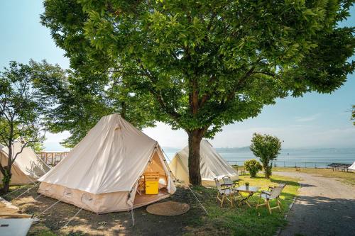 uma tenda e cadeiras debaixo de uma árvore perto da água em Kampaoh Ría de Vigo em Moaña
