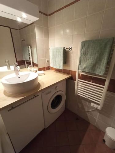 une salle de bain avec un lavabo et une machine à laver dans l'établissement Appartement 1 chambre, résidence Les Chalets, à Puy-Saint-Vincent