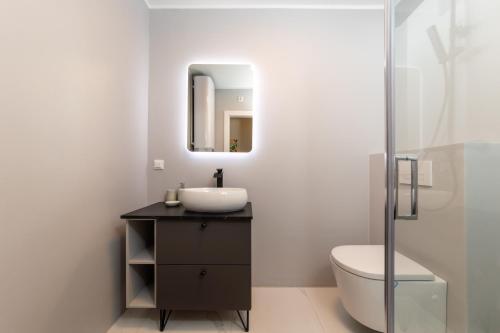 a bathroom with a sink and a toilet and a mirror at Flaka's Apartment in Vienna