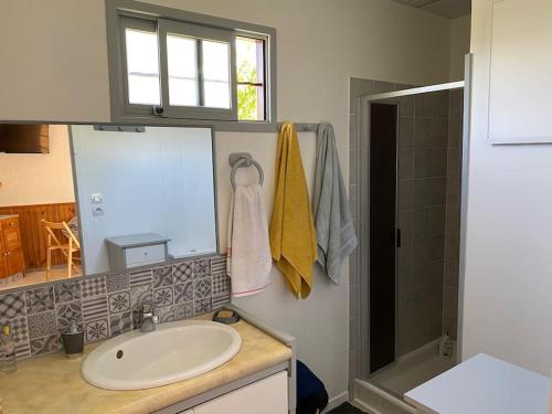 une salle de bain avec un lavabo et une douche dans l'établissement Maison de type chalet piscine collective hume, à Gujan-Mestras
