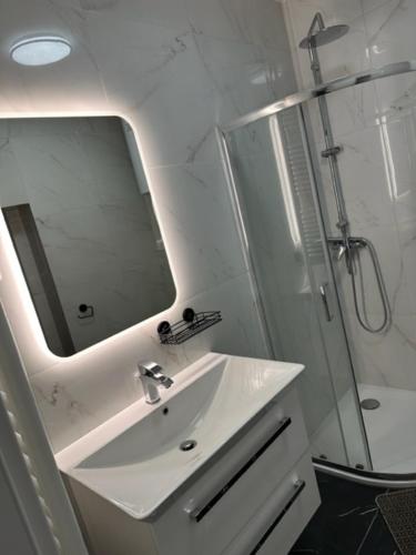 een badkamer met een wastafel, een douche en een spiegel bij Gostilna in apartmaji Zlati lev - Maribor in Maribor