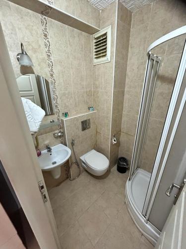 a bathroom with a toilet and a sink and a shower at Hypatia Apt in Trabzon
