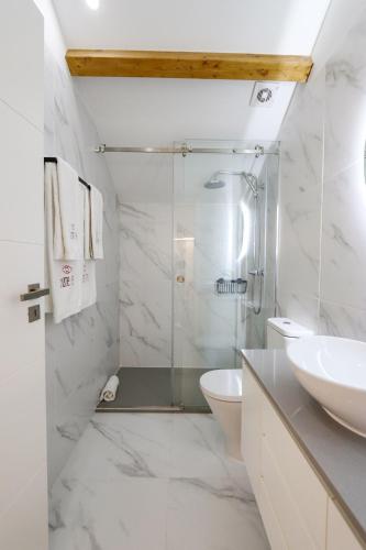 a bathroom with a shower and a toilet and a sink at HM - Home Feeling Studio Campanhã in Porto