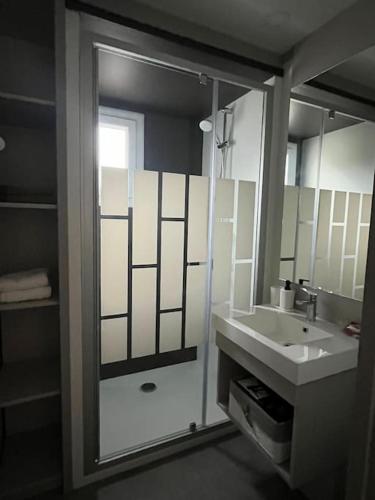 a bathroom with a shower and a sink and a mirror at Chalet Eguzkitsua 3 étoiles avec piscine et barbecue - pays basque - in Hasparren