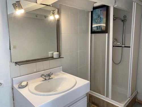 ein Bad mit einem Waschbecken, einem Spiegel und einer Dusche in der Unterkunft NOCNOC - L'Artiste du Capitole, hyper-centre, 4 lits in Toulouse