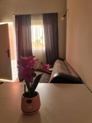 a room with a vase with a flower on a table at Apartman K2 in Kraljevo